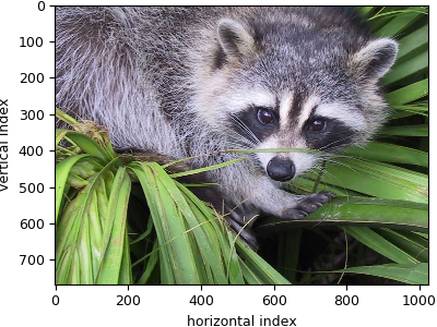 ../../_images/raccoon_image.csdf.png